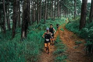 BIB: 
                            <button type="button" onclick="openModal(25709467)" class="btn btn-primary btn-sm float-right btn-popup" data-toggle="modal" data-target=".modal-high-quality">
                        <i class="fas fa-shopping-cart"></i> Add to Cart
                    </button>
                                            <button type="button" onclick="isThisMe(25709467, true)" class="btn btn-success btn-sm float-right btn-popup btn-isme hidden" data-toggle="tooltip" data-placement="bottom" title="นี่คือรูปของคุณใช่ไหม คลิกที่นี่เพื่อเอาเข้าอัลบั้ม">
                        <i class="fas fa-plus"></i> Add to album
                    </button>
                    <button type="button" onclick="isThisMe(25709467, false)" class="btn btn-warning btn-sm float-right btn-popup btn-isnotme hidden">
                        <i class="fas fa-ban"></i> Remove from album
                    </button>